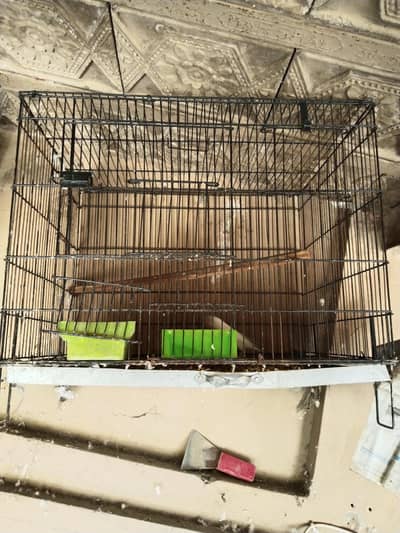 cage for sale