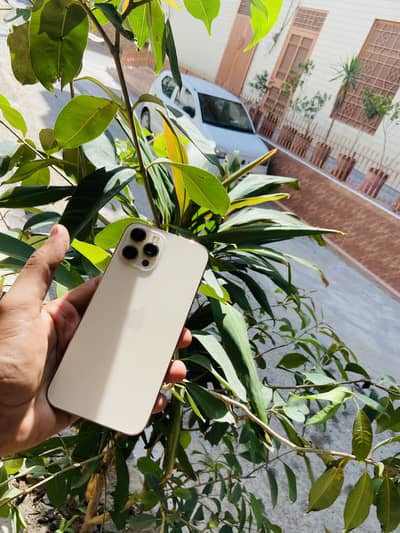 Apple iPhone 12 Pro Max