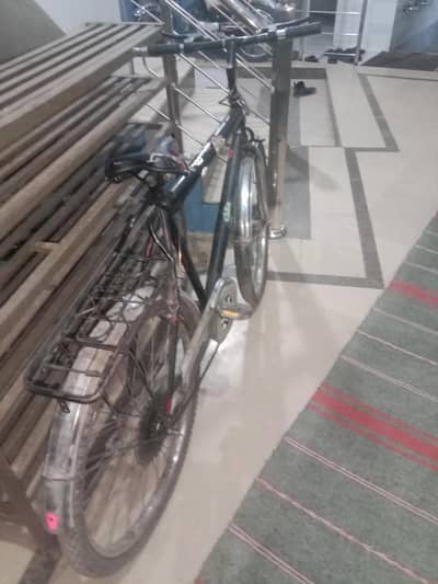 cycle
