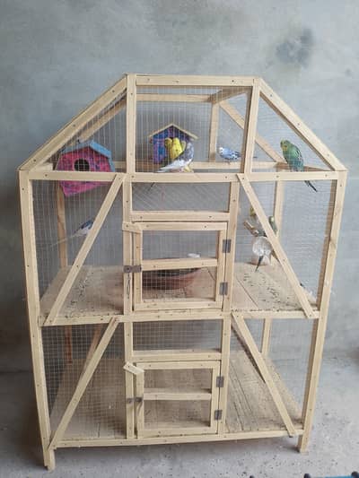 Australian bajjrie for sale 10 parrot 1 cage