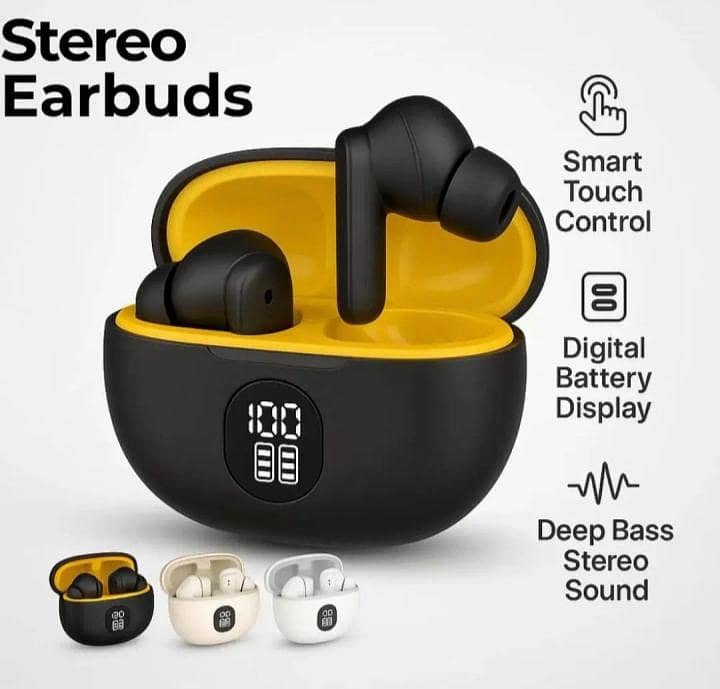 EARBUDS 1
