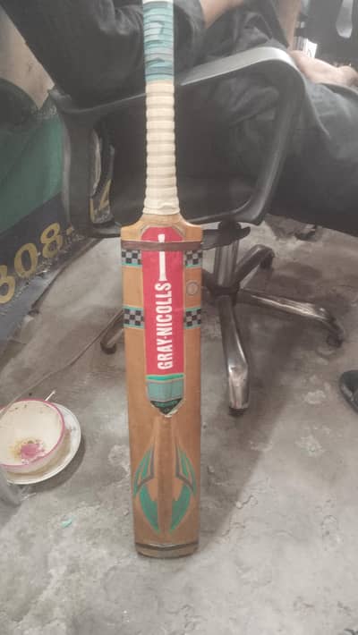 cricket bat