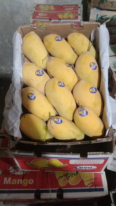 yms fruits