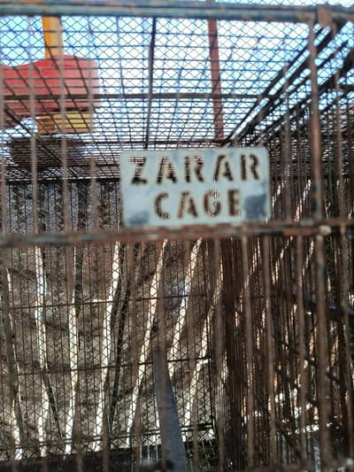 Zarar folding cage