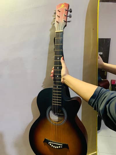Swift horse acoustic guitar