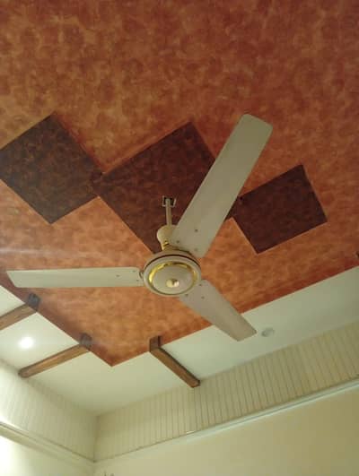 Indus fan