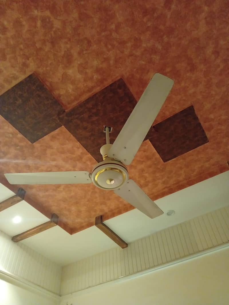 Indus fan 0