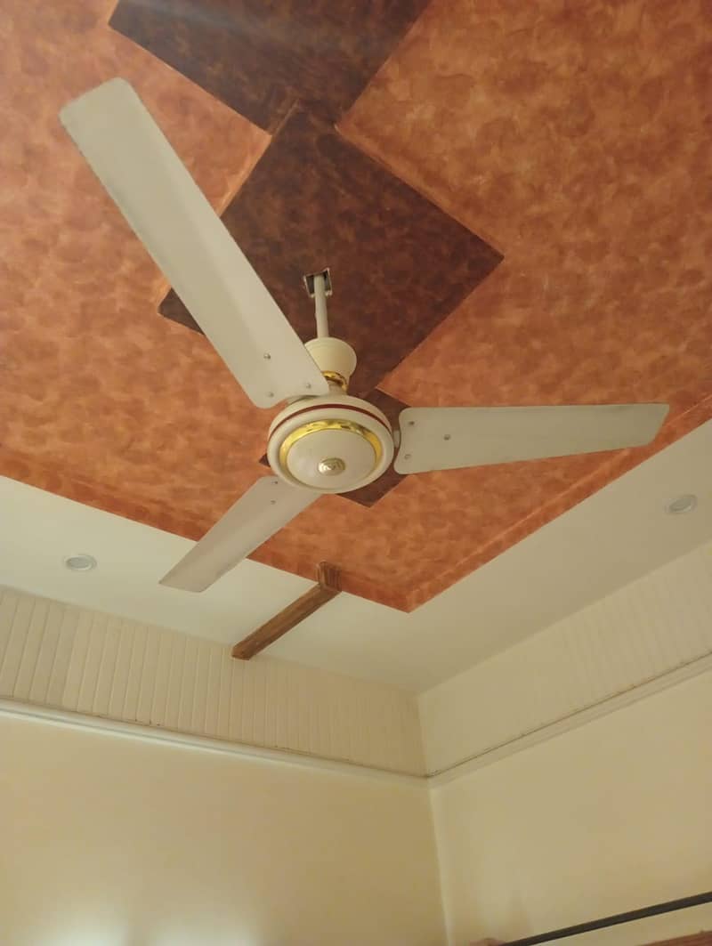 Indus fan 2
