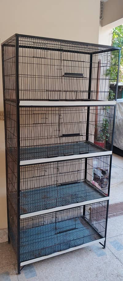 Birds Cage