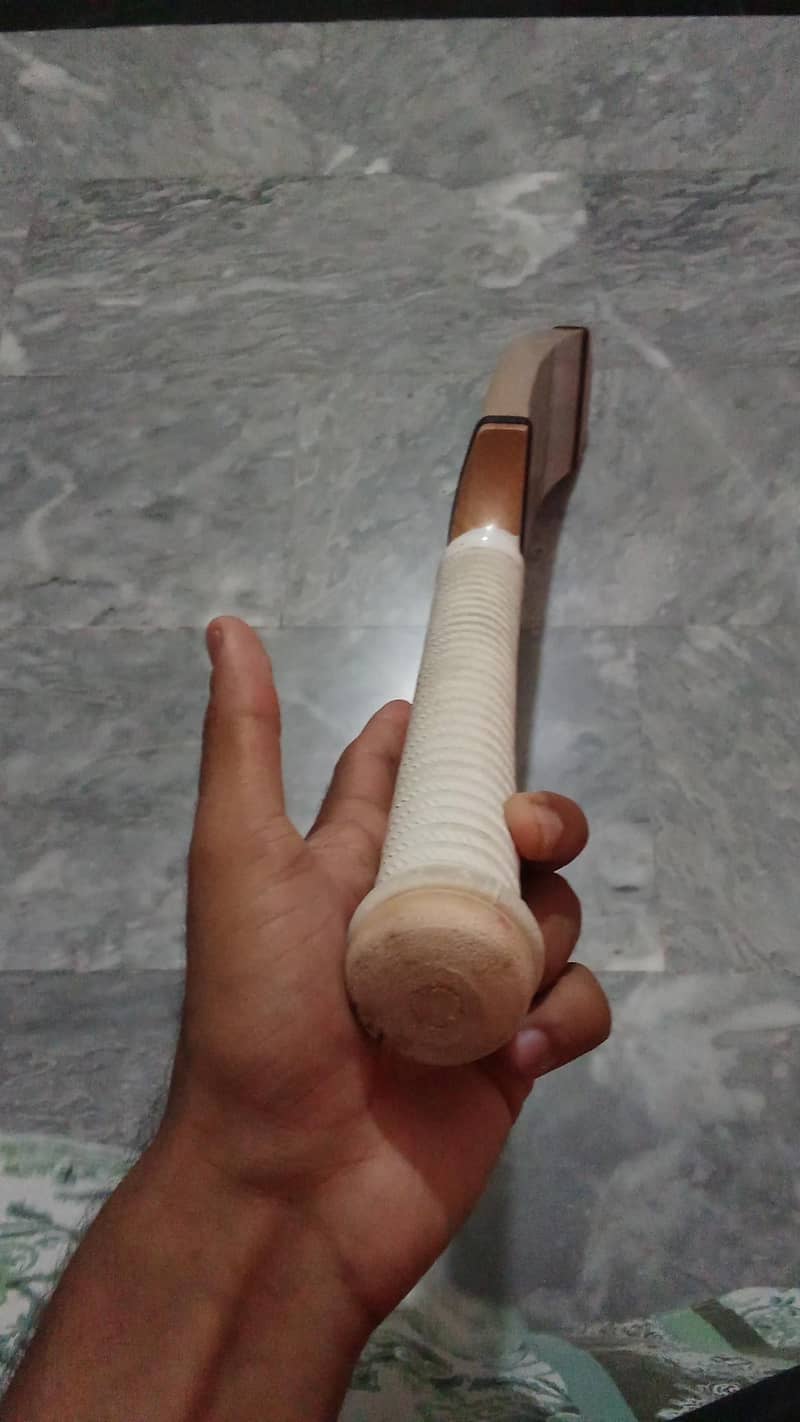 coconut bat 1