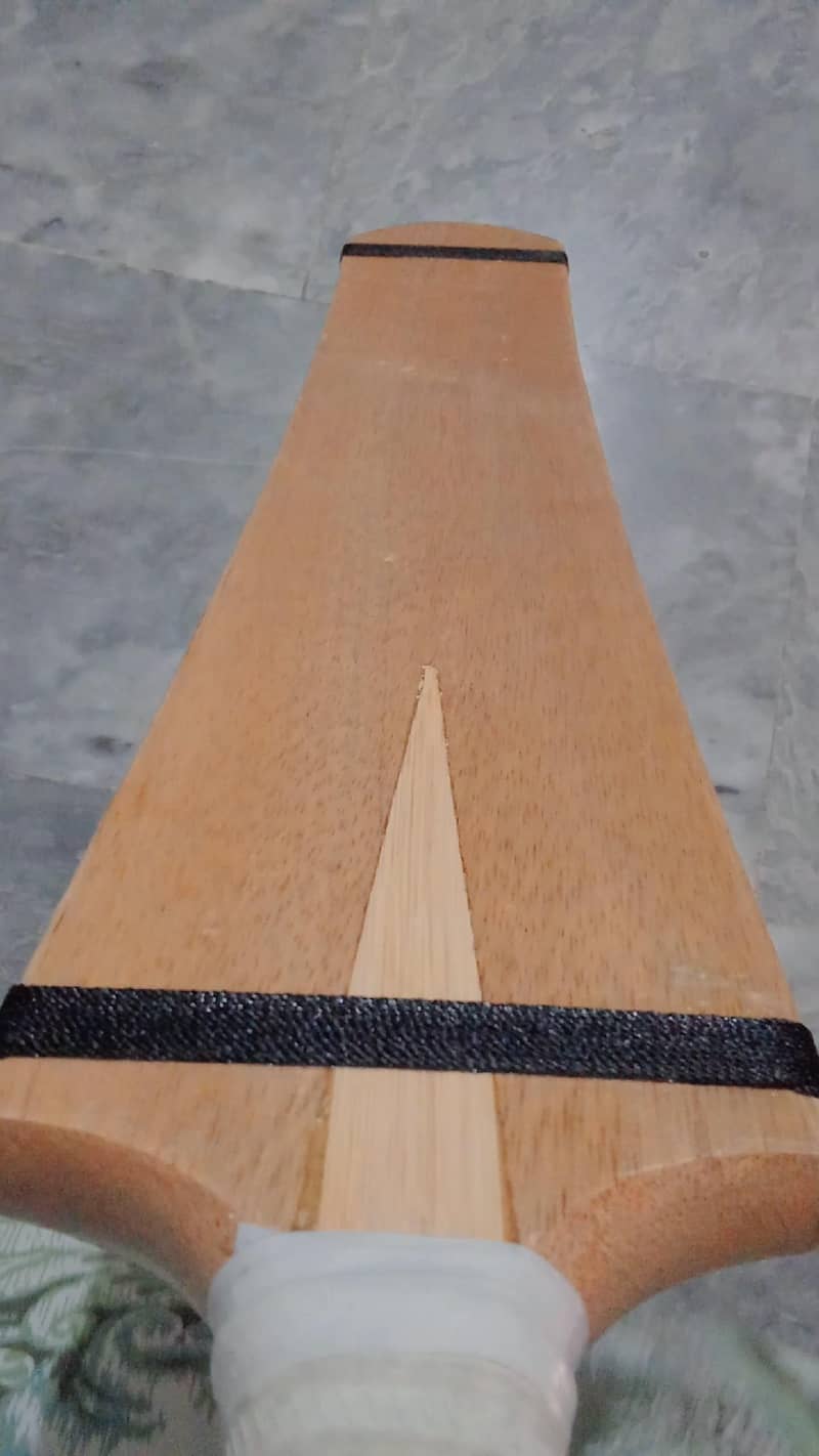 coconut bat 3