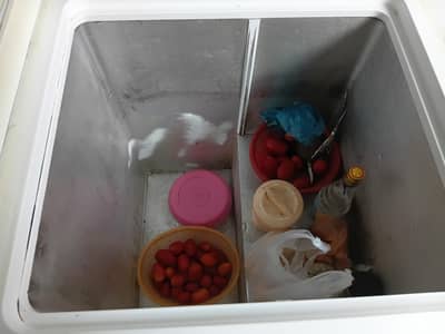 Dollance Deep Freezer Double Door