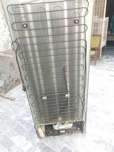 Haier Fridge