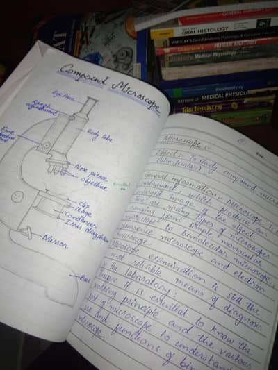 Practical writing service