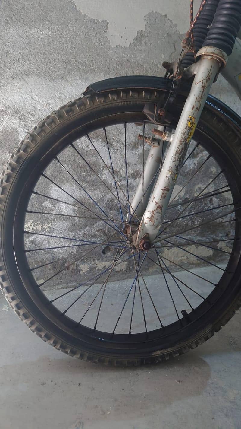 Imported Cycle 1