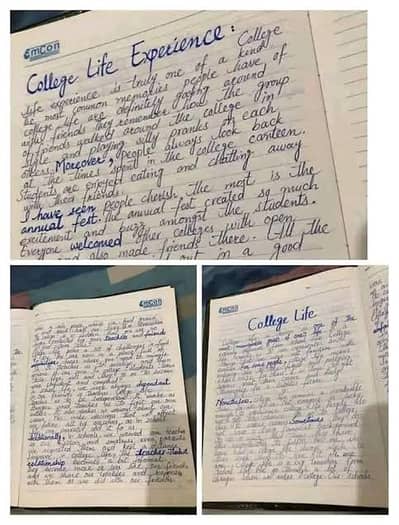 Content writing/assignment work/assignment writing