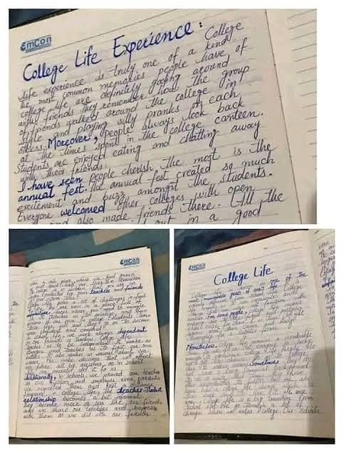 Content writing/assignment work/assignment writing 0