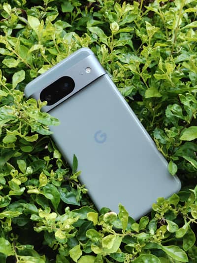 Google Pixel 8 | PTA Official Approved | 8GB/128GB