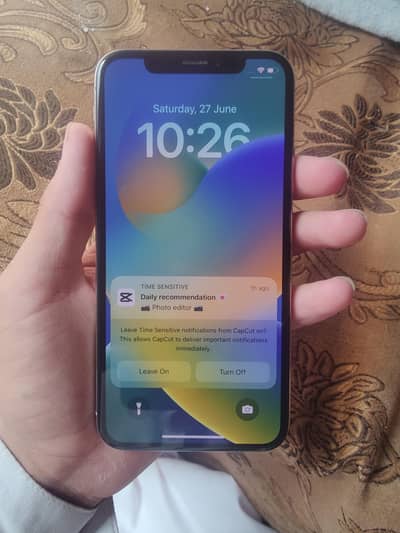 Apple iPhone X