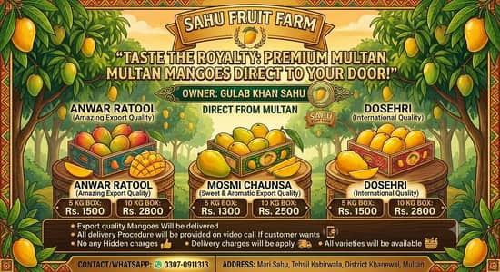 Mangoes