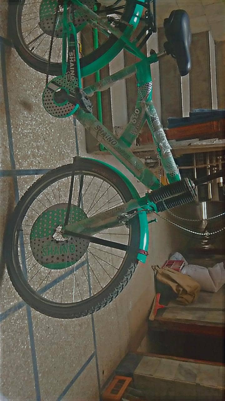 New cycle 1