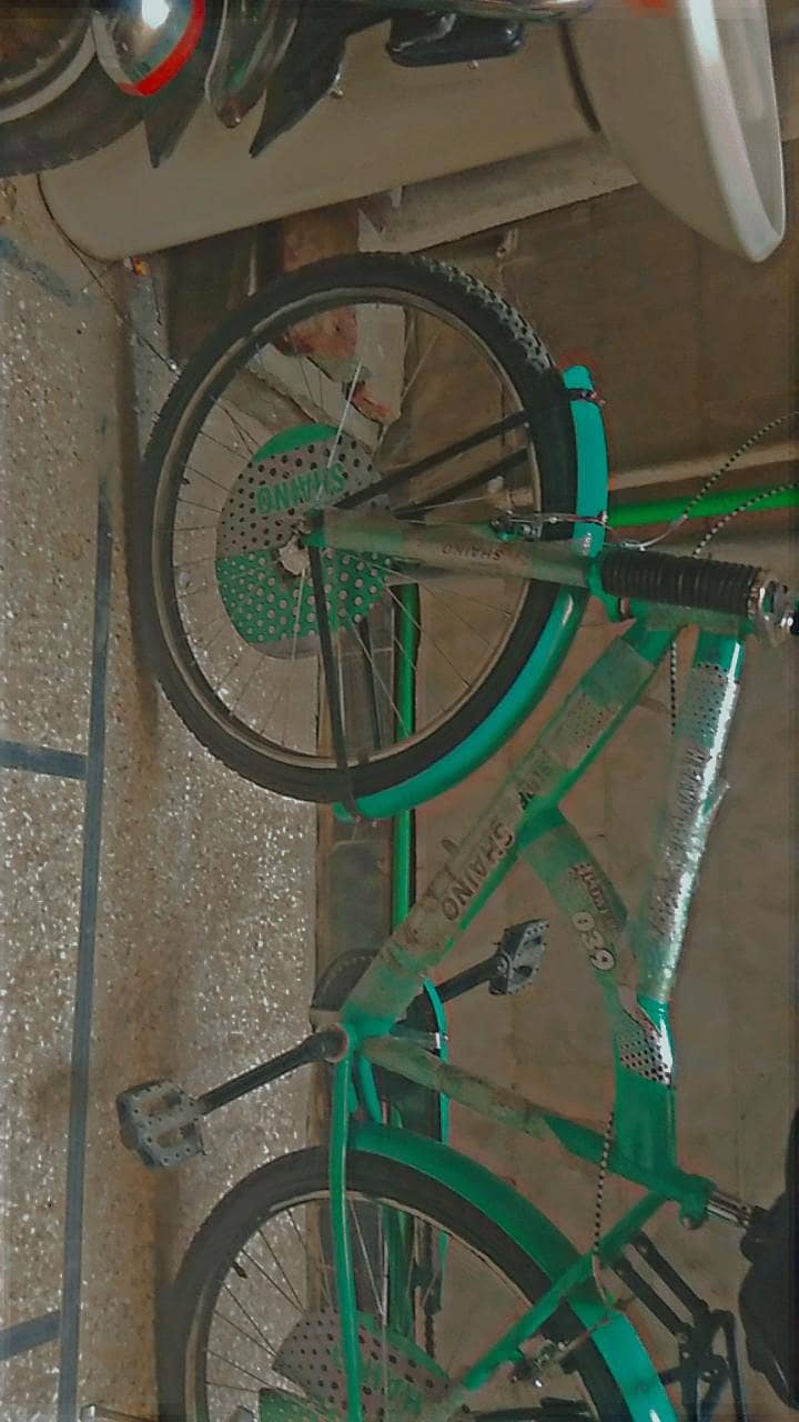 New cycle 5