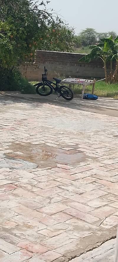 mountain bicycle
