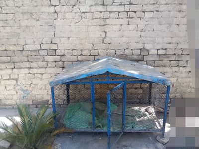 Hen Cage