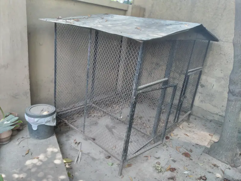 a Big cage for birds