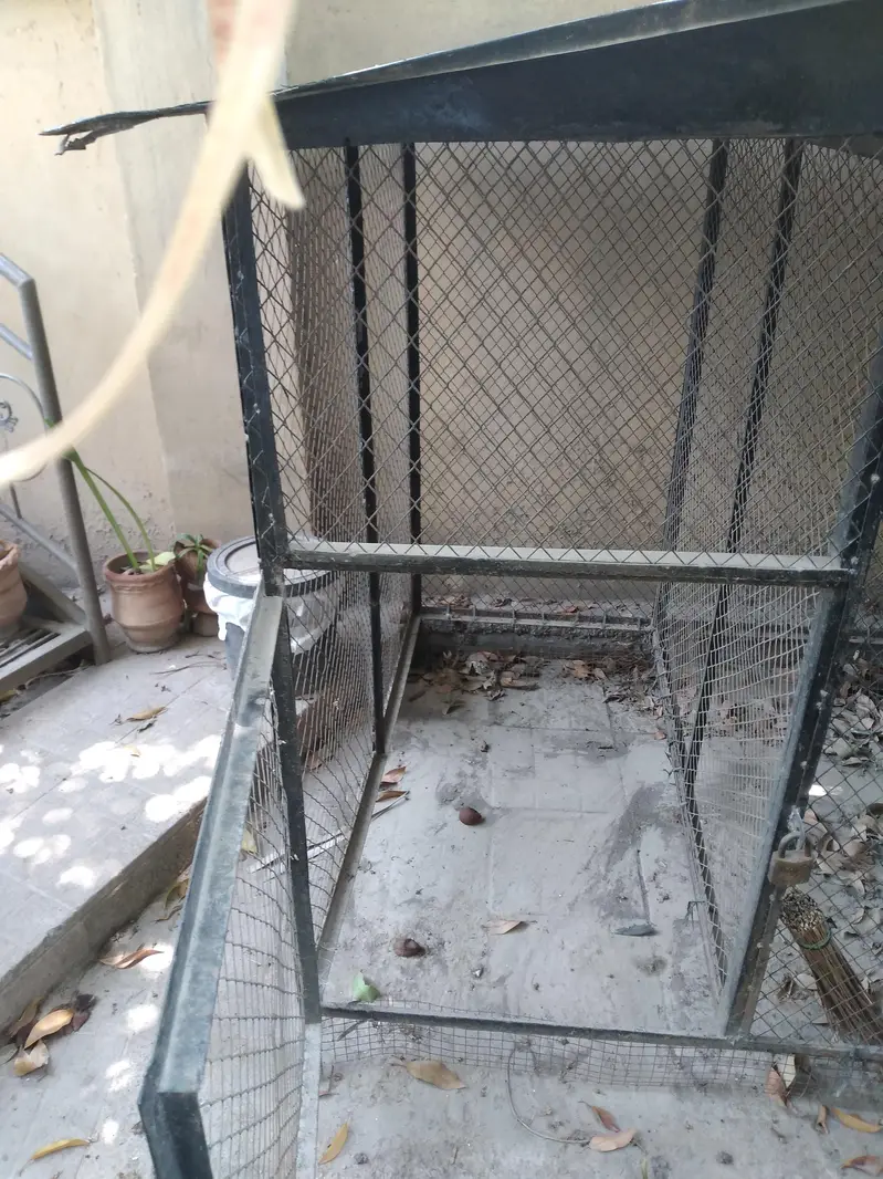 a Big cage for birds — photo 2