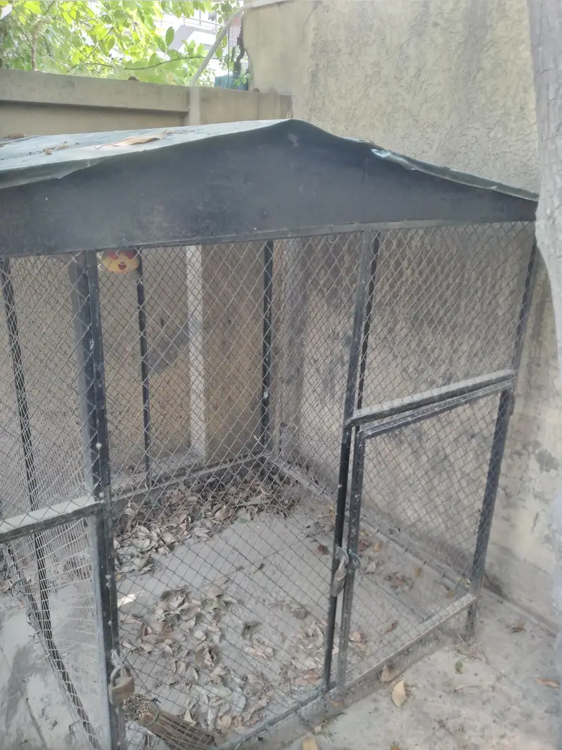 a Big cage for birds — photo 3