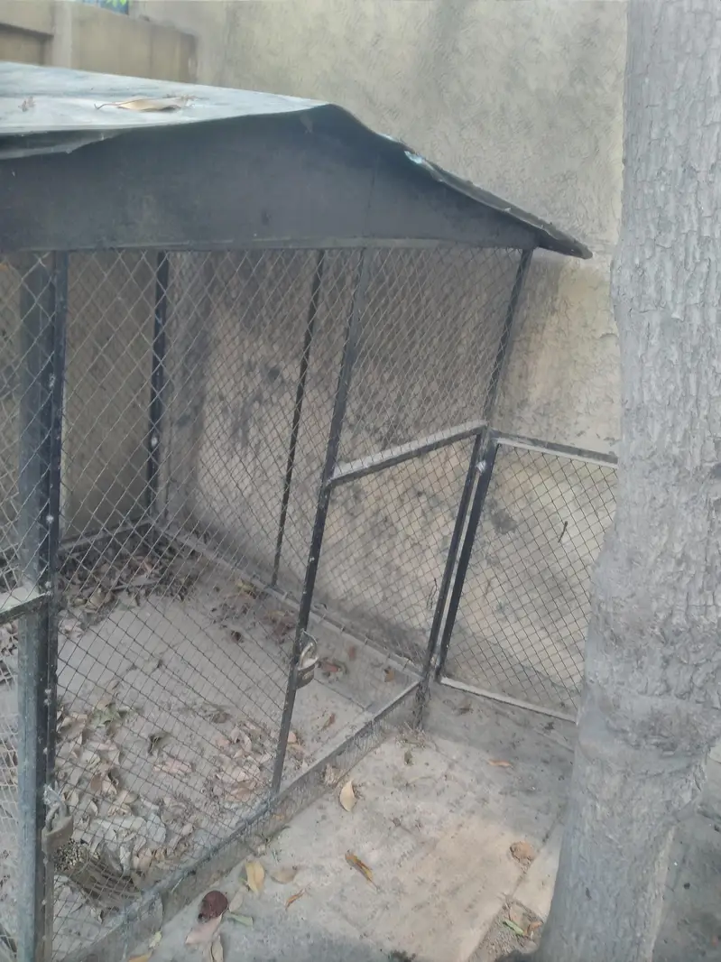 a Big cage for birds — photo 4