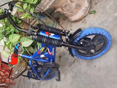 12 inches imported Cycle with Gares and MTB system