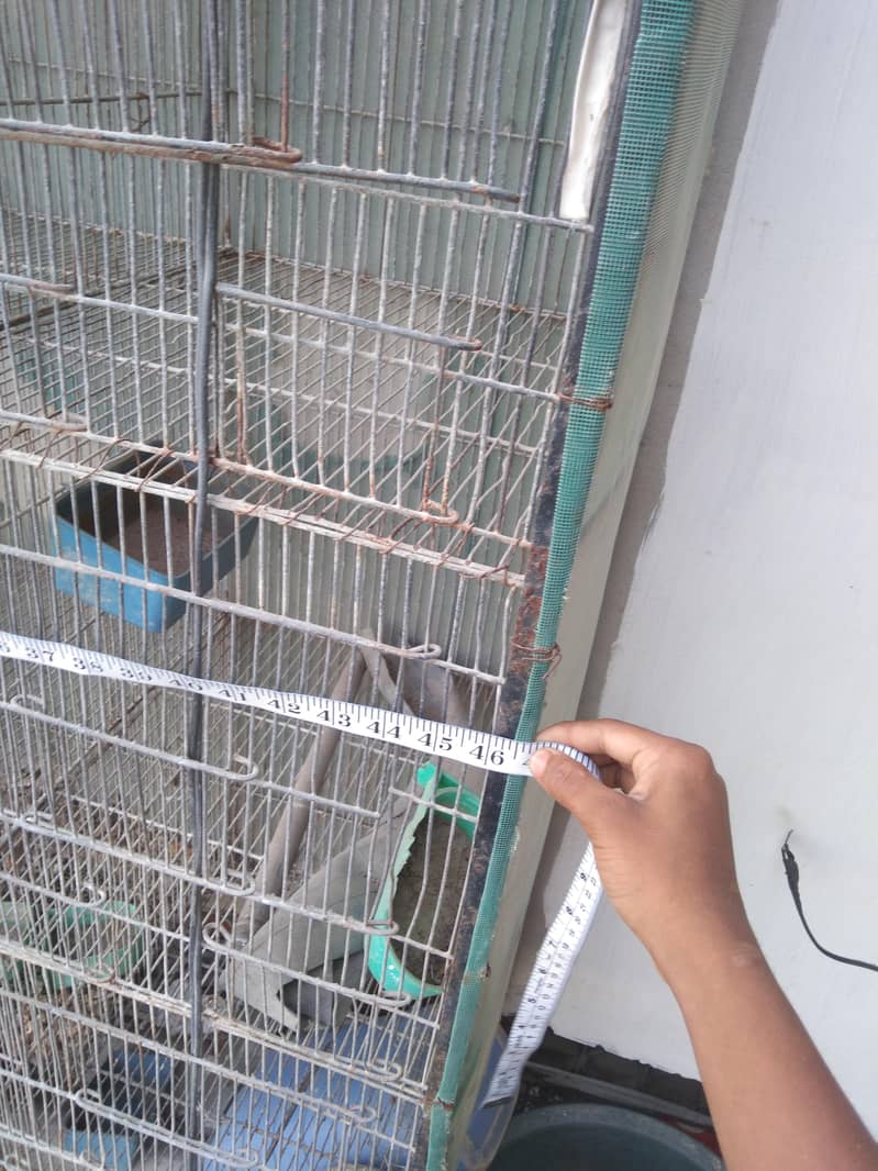 12 section cage 2