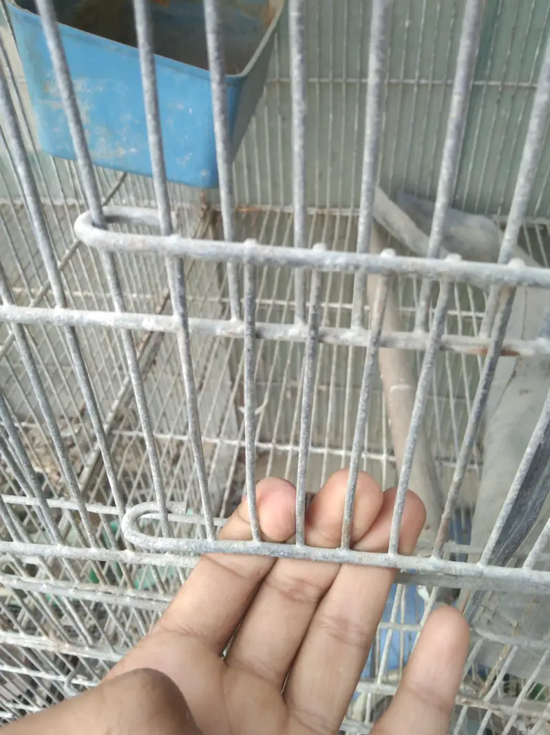 12 section cage — photo 4