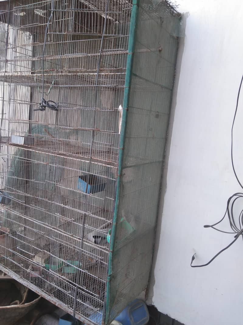 12 section cage 4