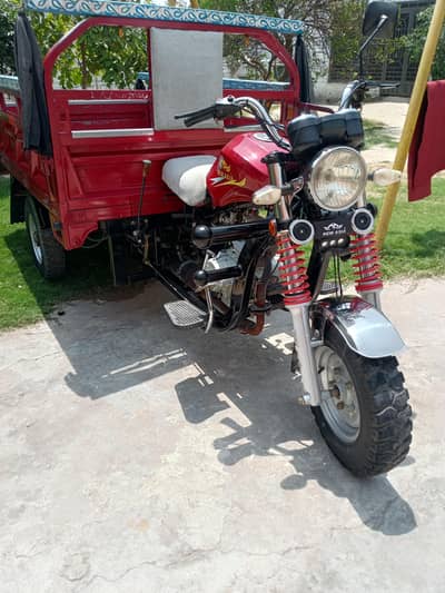 2024 madal full lush condition