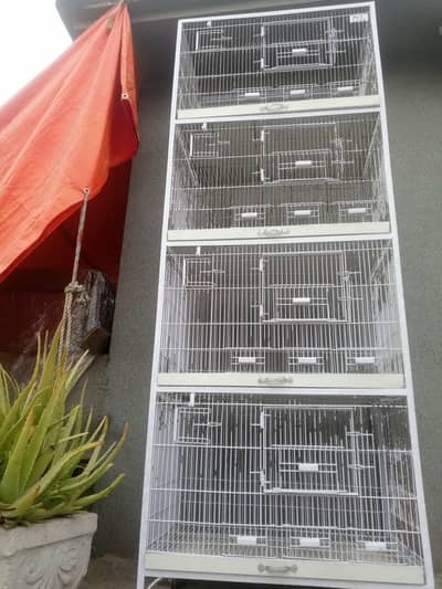 Cage's