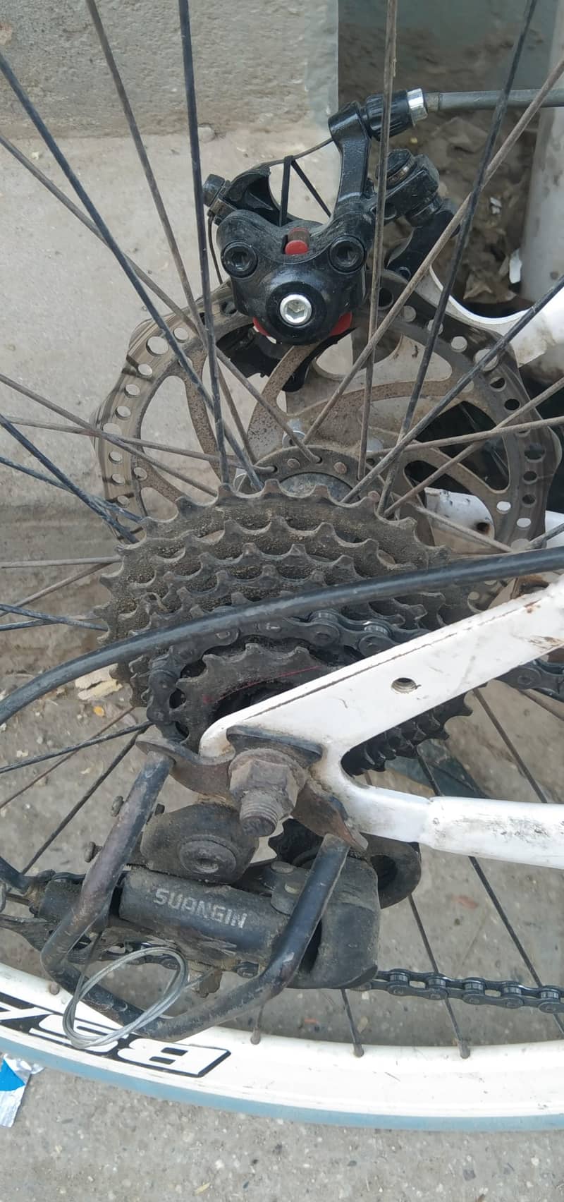 cycle 1