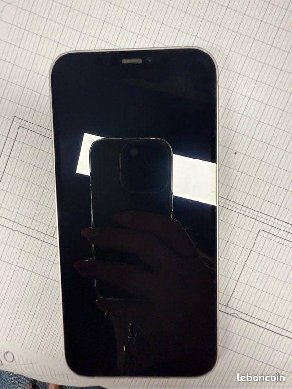 Apple iPhone 12 1