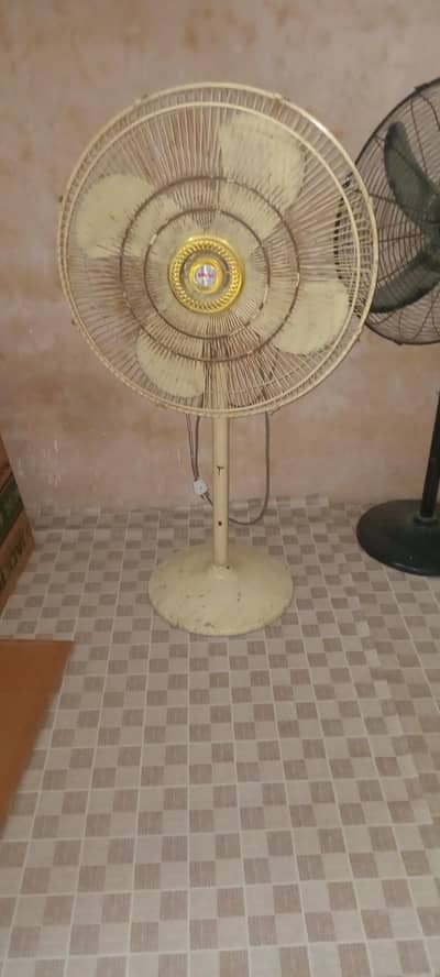 royal fan