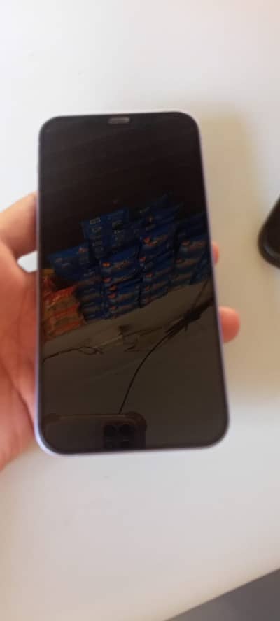 Apple iPhone 12