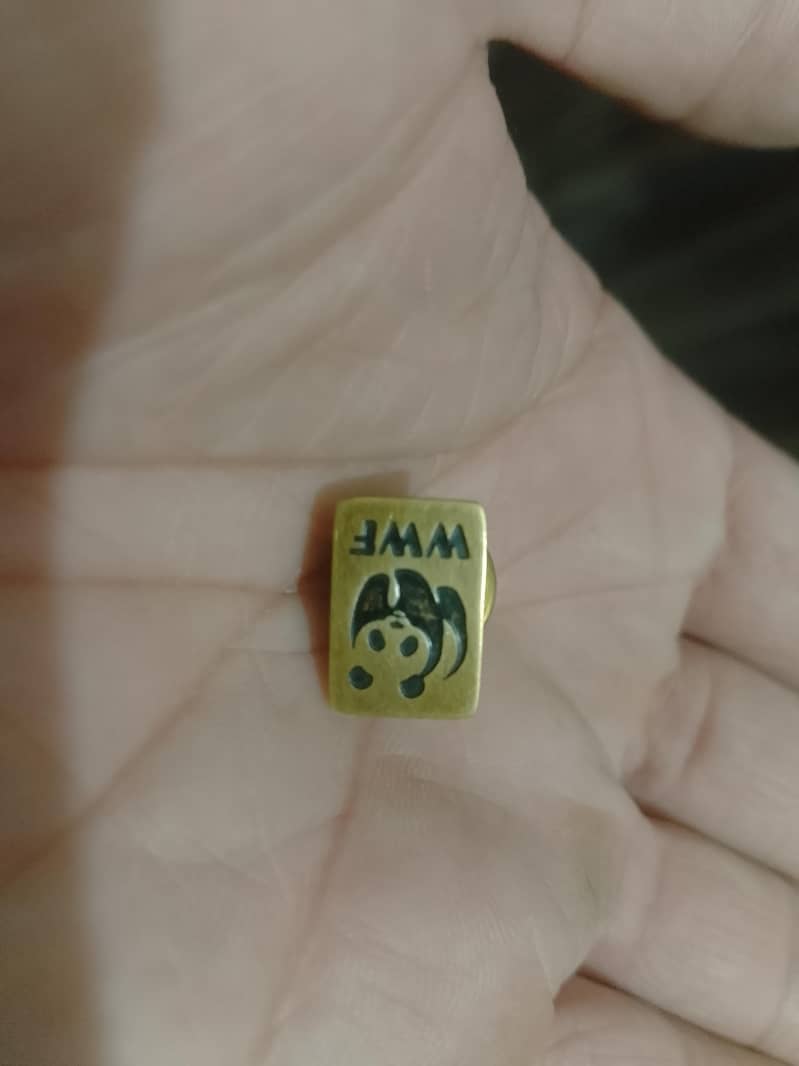 Customized Badge 4