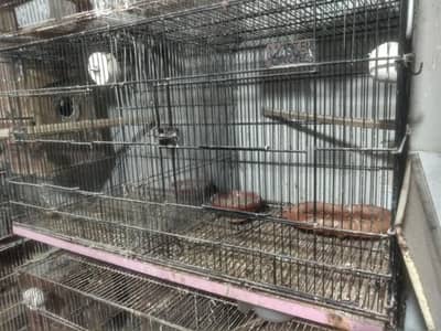 Master cage