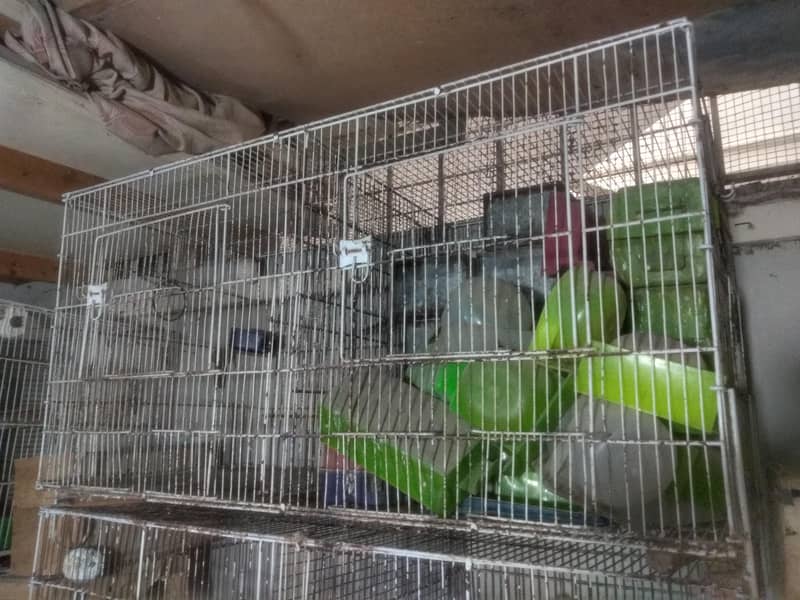 Master cage 1