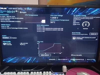 Asus Gaming/Editing pc 
