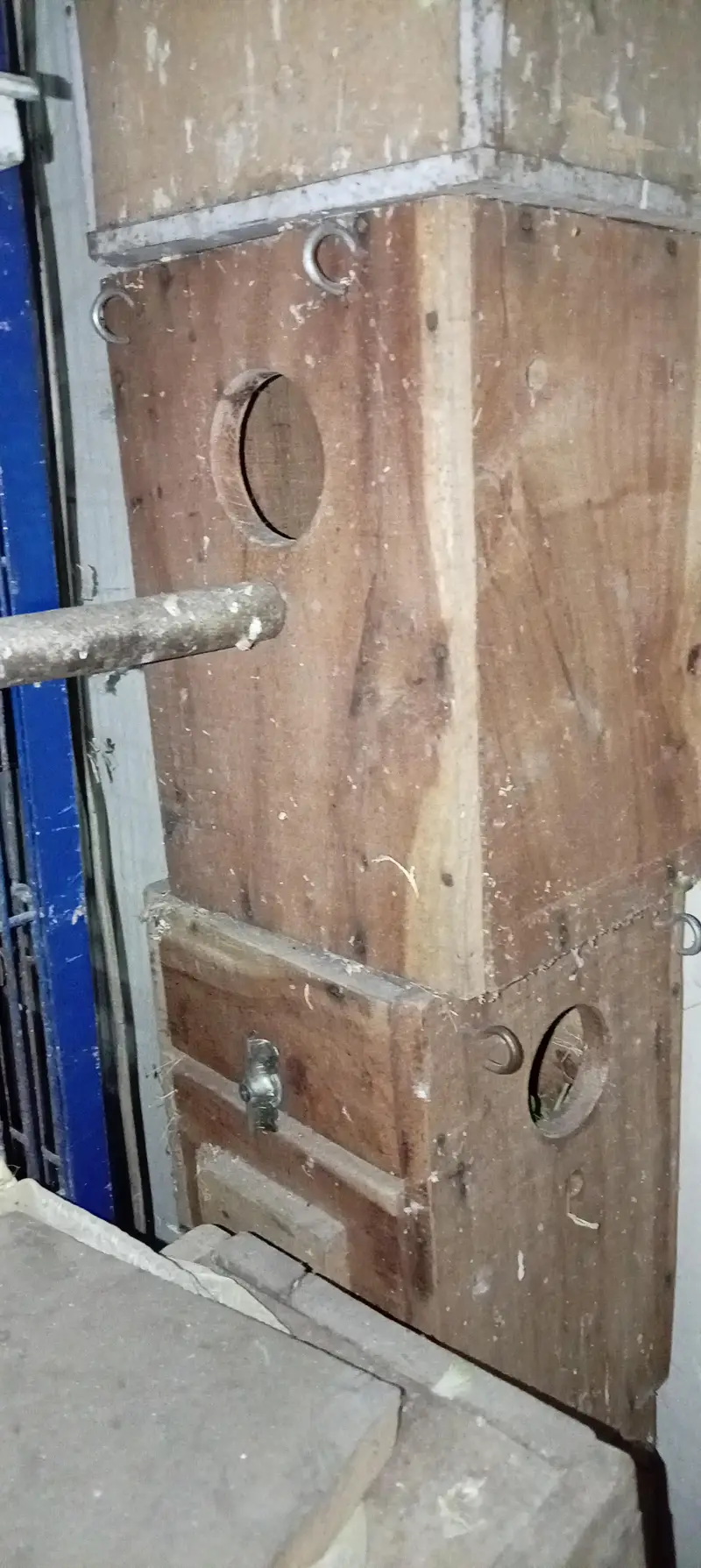 love bird boxes