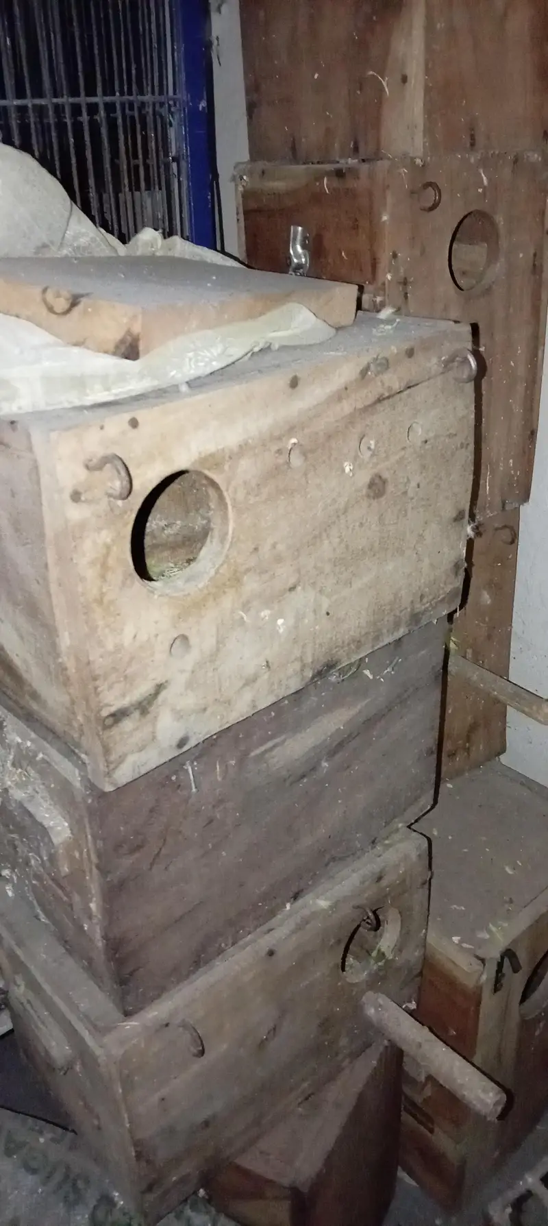 love bird boxes — photo 2