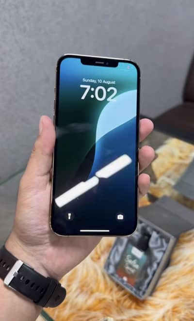 Apple iPhone 12 Pro Max Pta Dua physical 256 Gb