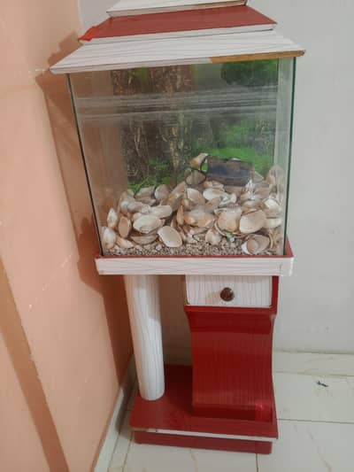 aqureum
